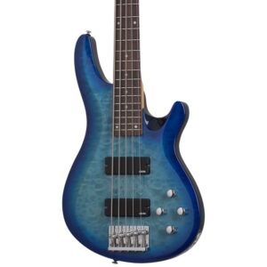 Schecter C-5 PLUS OBB bass gitara
