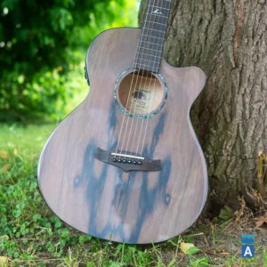 Tanglewood Azure Grey Walnut TA4CEGY gitara