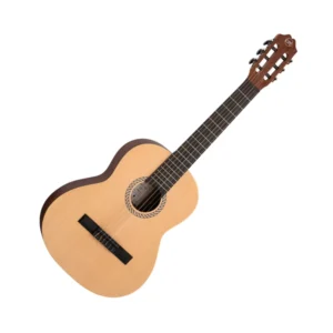 Školske gitare Školske gitare