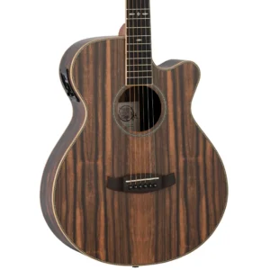 Tanglewood Reunion Pro TRU4CEAE gitara