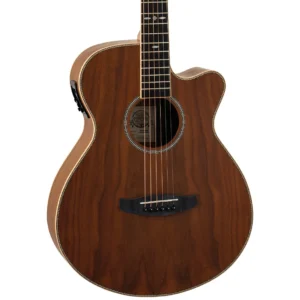 Tanglewood Reunion Pro TRU4CEAW gitara