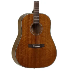 Tanglewood Sundance Delta TW40 SD-D gitara