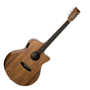 Tanglewood TW4 E VC PW ozvučena akustična gitara