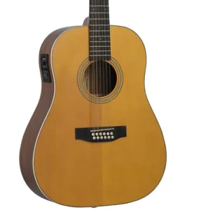 Tanglewood TW40 12SD ANE gitara dvanaesterac