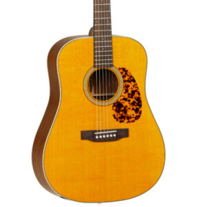 Tanglewood TW40 D AN E akustična ozvučena gitara