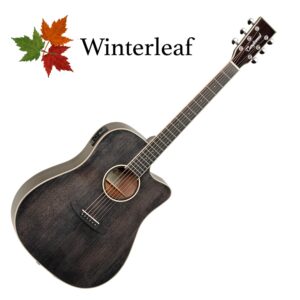 Tanglewood Winterleaf TW5 E BS ozvučena gitara