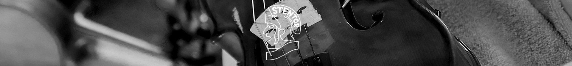 Stentor