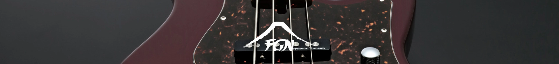 Fujigen