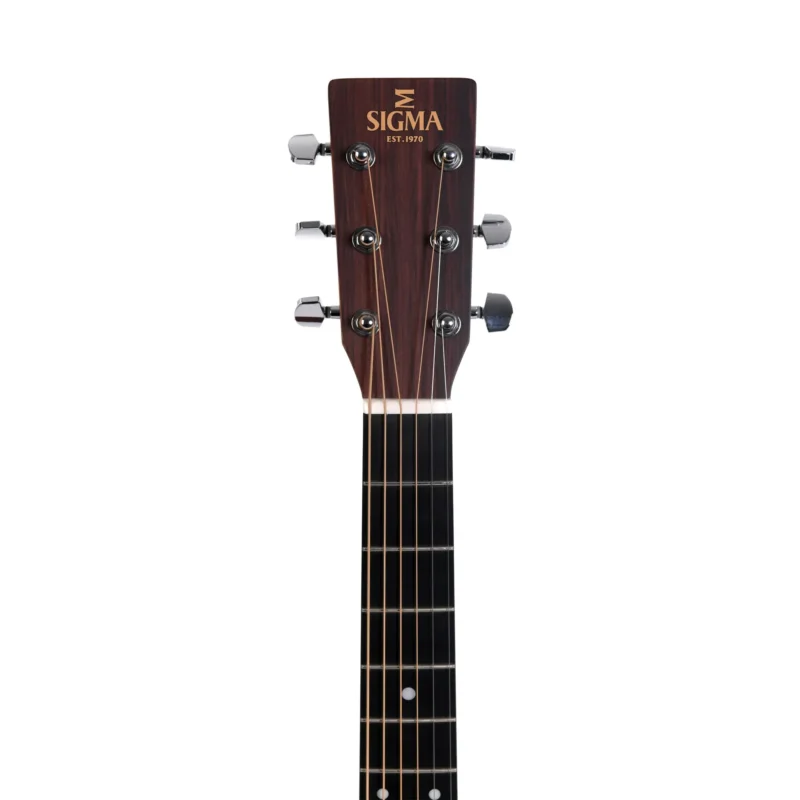 Sigma SDM-STE dreadnought gitara od punog drveta sa Fishman Presys II elektronikom i futrolom. Prodaja Artist d.o.o. Banja Luka, Sarajevo, Doboj