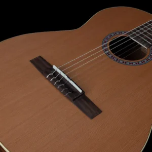 Godin Concert CW Clasica II klasična gitara od punog cedra i mahagonija, ručno izrađena u Kanadi, sa ugrađenom elektronikom, visokim sjajem i vrhunskim zvukom za studijsku i koncertnu upotrebu. Prodaja Artist d.o.o. Banja Luka, Sarajevo