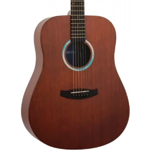 Tanglewood Elemental TE5BL akustična gitara