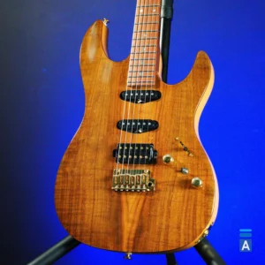FGN Expert Odyssey EOS2-DU-EW2-RM VNT gitara (Japan)
