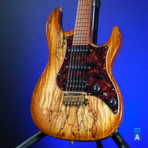 FGN Expert Odyssey EOS2 EW1 RM HCB gitara (Japan)