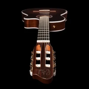 Godin Arena Pro CW Bourbon Burst EQ klasična gitara sa najlonskim žicama i LR Baggs ozvukom, idealna za profesionalni nastup uživo, prodaja Artist d.o.o. Banja Luka, Sarajevo.