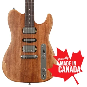 Godin Radium Winchester Brown RN gitara sa Gig Bag torbom