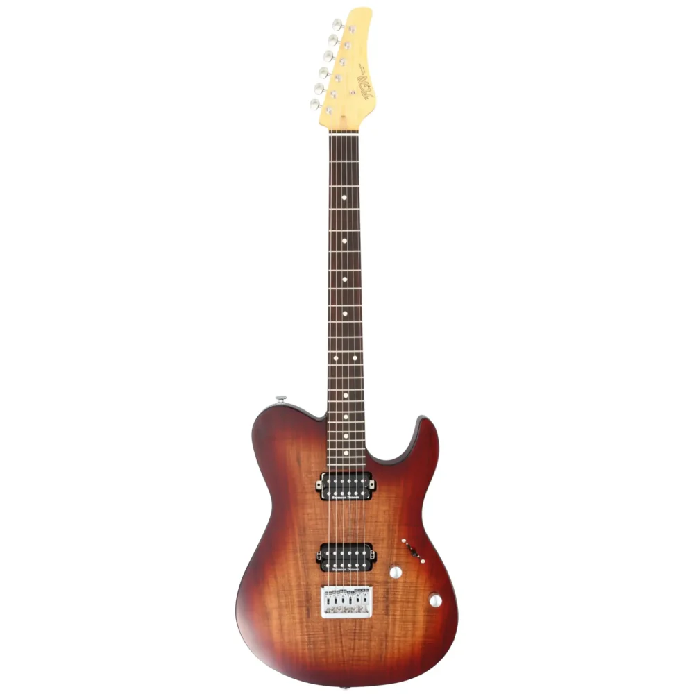 FGN Guitars, J-Standard Iliad, JIL2-ASH-DE-M, električna gitara, Fujigen gitare, Seymour Duncan magneti, Gotoh hardware, Made in Japan gitara, Artist d.o.o. Prodaja u Artist d.o.o. prodavnicama Banja Luka, Sarajevo.