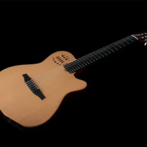 Godin ACS Nylon, hibridna gitara, najlonske žice, synth access gitara, Godin Multiac, gitara sa 13-pin izlazom, Artist d.o.o. Prodaja u Artist d.o.o. prodavnicama Banja Luka, Sarajevo.