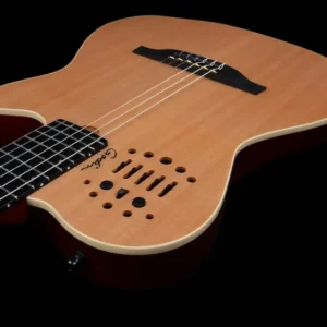 Godin ACS Nylon, hibridna gitara, najlonske žice, synth access gitara, Godin Multiac, gitara sa 13-pin izlazom, Artist d.o.o. Prodaja u Artist d.o.o. prodavnicama Banja Luka, Sarajevo.