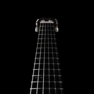 Godin ACS Nylon, hibridna gitara, najlonske žice, synth access gitara, Godin Multiac, gitara sa 13-pin izlazom, Artist d.o.o. Prodaja u Artist d.o.o. prodavnicama Banja Luka, Sarajevo.