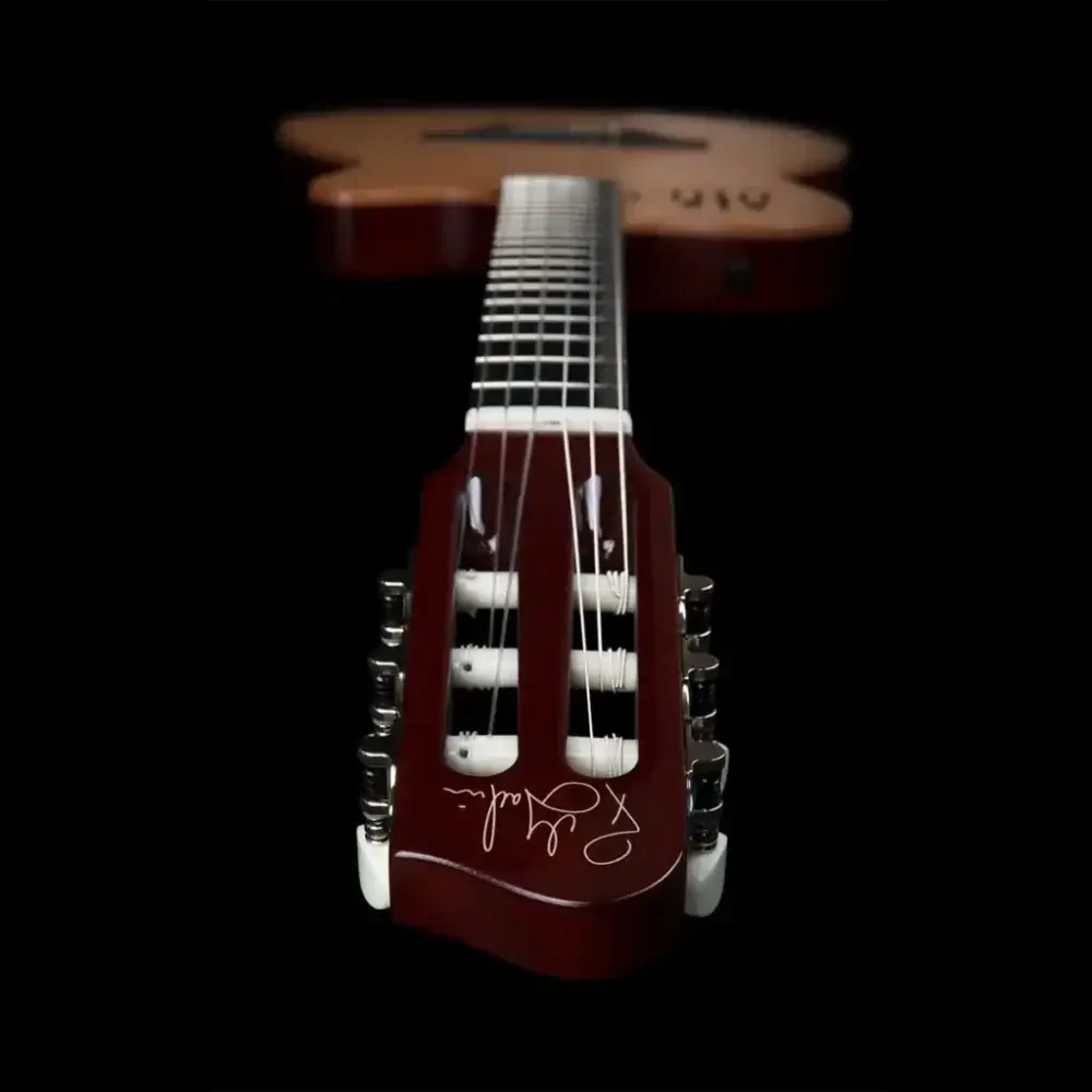 Godin ACS Nylon, hibridna gitara, najlonske žice, synth access gitara, Godin Multiac, gitara sa 13-pin izlazom, Artist d.o.o. Prodaja u Artist d.o.o. prodavnicama Banja Luka, Sarajevo.