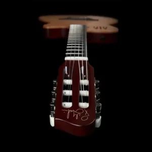 Godin ACS Nylon, hibridna gitara, najlonske žice, synth access gitara, Godin Multiac, gitara sa 13-pin izlazom, Artist d.o.o. Prodaja u Artist d.o.o. prodavnicama Banja Luka, Sarajevo.