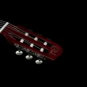 Godin ACS Nylon, hibridna gitara, najlonske žice, synth access gitara, Godin Multiac, gitara sa 13-pin izlazom, Artist d.o.o. Prodaja u Artist d.o.o. prodavnicama Banja Luka, Sarajevo.