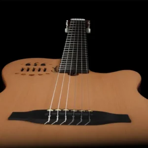 Godin ACS Nylon, hibridna gitara, najlonske žice, synth access gitara, Godin Multiac, gitara sa 13-pin izlazom, Artist d.o.o. Prodaja u Artist d.o.o. prodavnicama Banja Luka, Sarajevo.