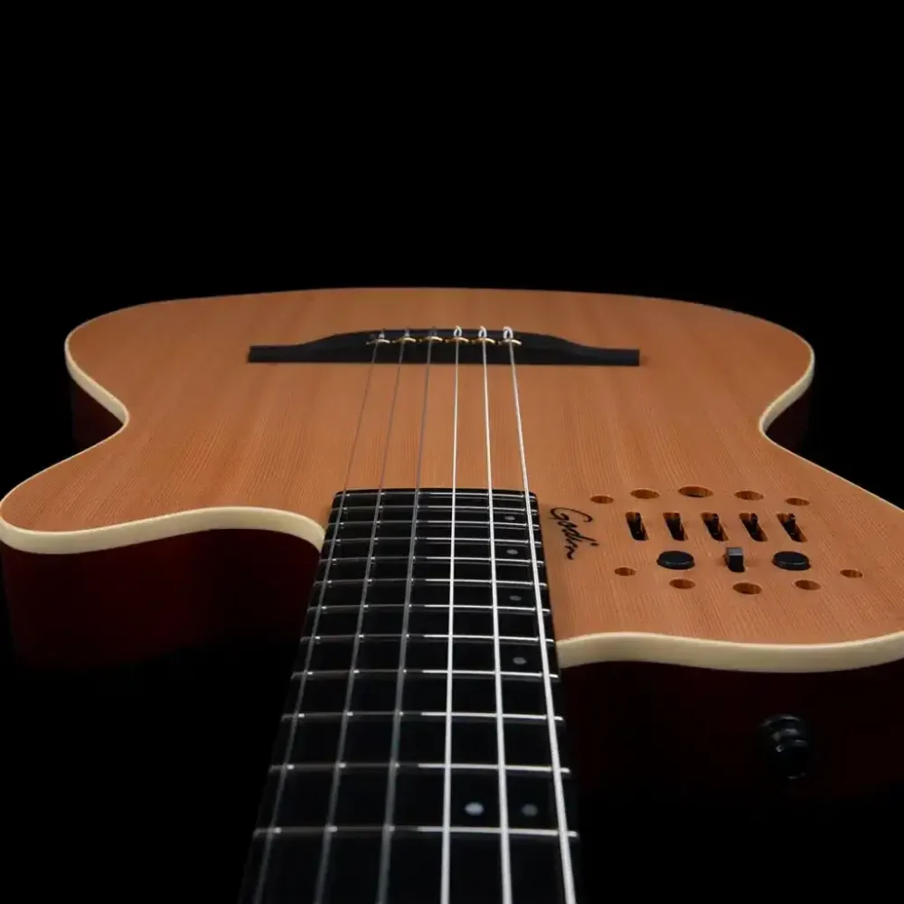 Godin ACS Nylon, hibridna gitara, najlonske žice, synth access gitara, Godin Multiac, gitara sa 13-pin izlazom, Artist d.o.o. Prodaja u Artist d.o.o. prodavnicama Banja Luka, Sarajevo.