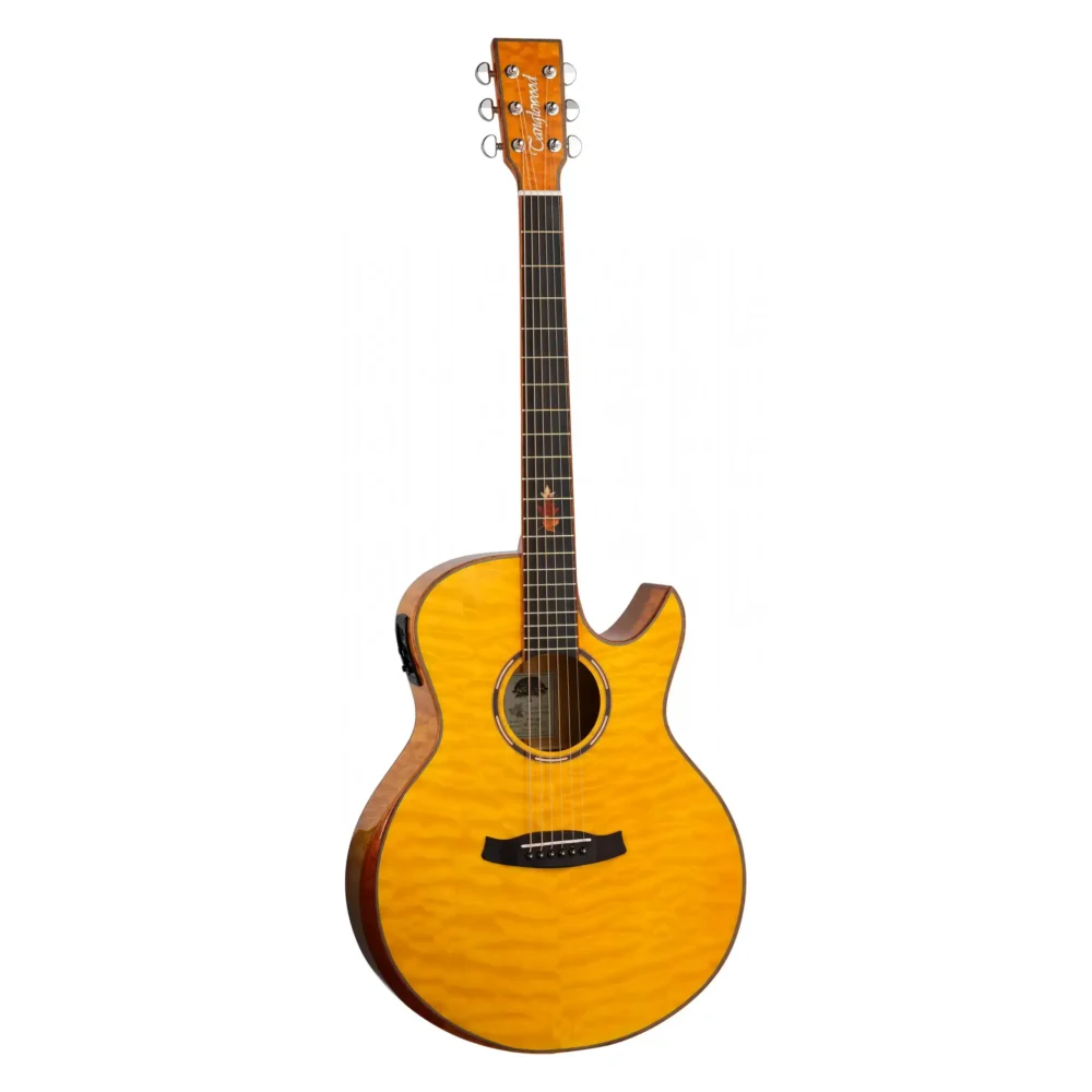 Tanglewood TWX6CESMF, akustična gitara sa elektronikom, Winterleaf Exotic, gitara od javora, Grand Auditorium gitara, Tanglewood gitare, Artist d.o.o. Prodaja u Artist d.o.o. prodavnicama Banja Luka, Sarajevo.