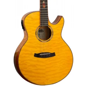 Tanglewood TWX6CESMF, akustična gitara sa elektronikom, Winterleaf Exotic, gitara od javora, Grand Auditorium gitara, Tanglewood gitare, Artist d.o.o. Prodaja u Artist d.o.o. prodavnicama Banja Luka, Sarajevo.