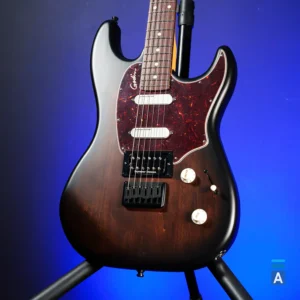 Godin SESSION R-HT Pro Bourbon Burst gitara sa Gig Bag torbom