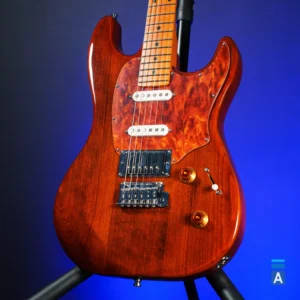 Godin SESSION T-PRO LTD Kanyon Burst MN gitara sa Gig Bag torbom