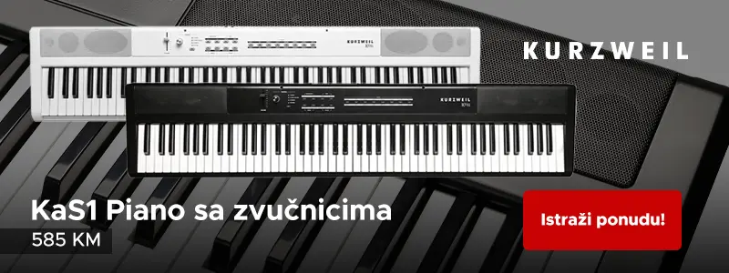 Kurzweil Kas1
