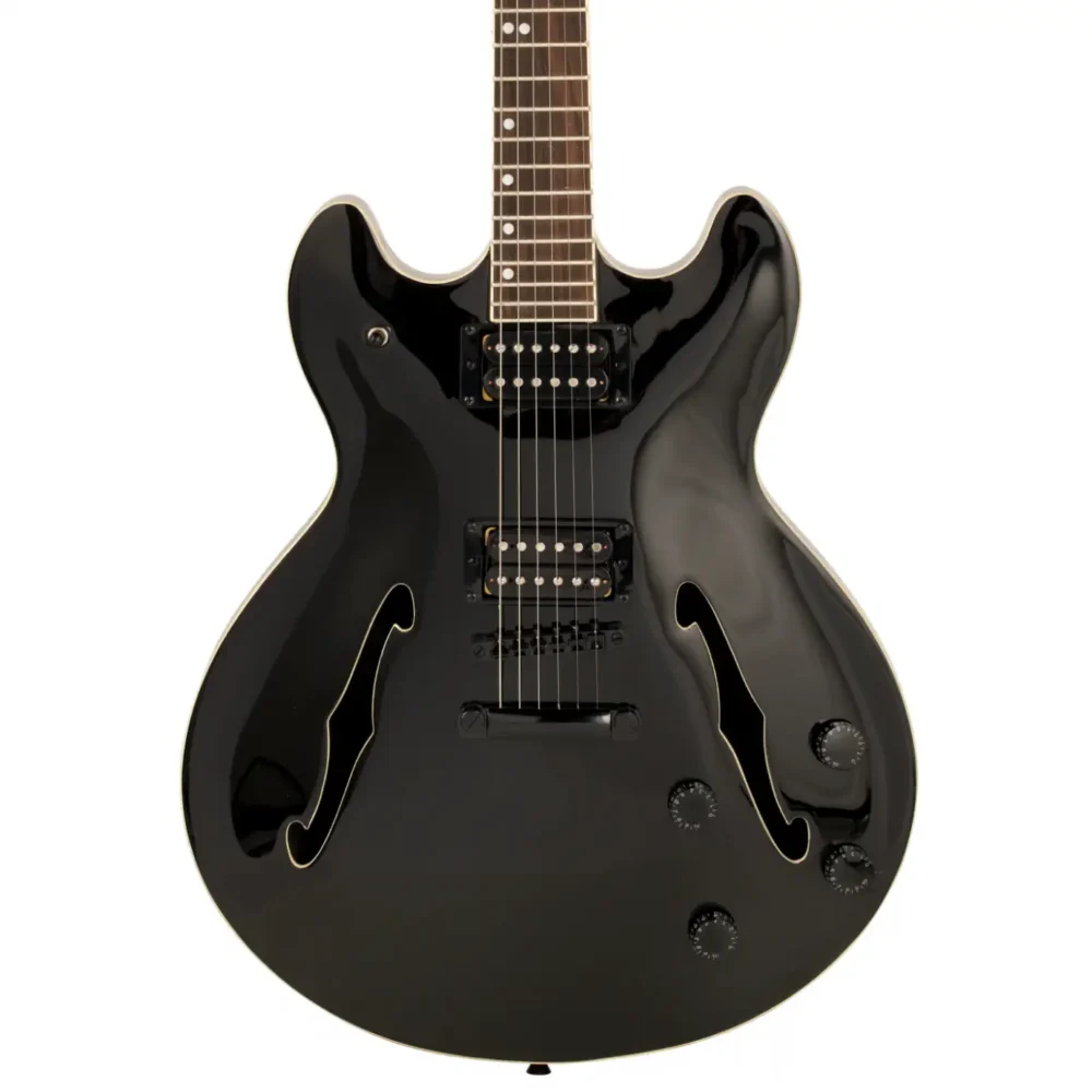 Northstar Pro NSP5BKG, crna poluakustična gitara, semi-acoustic gitara, gitara od mahagonija, gitara sa humbakerima, hollowbody gitara, crni hardver gitara. Prodaja u Artist d.o.o. prodavnicama Banja Luka, Sarajevo.